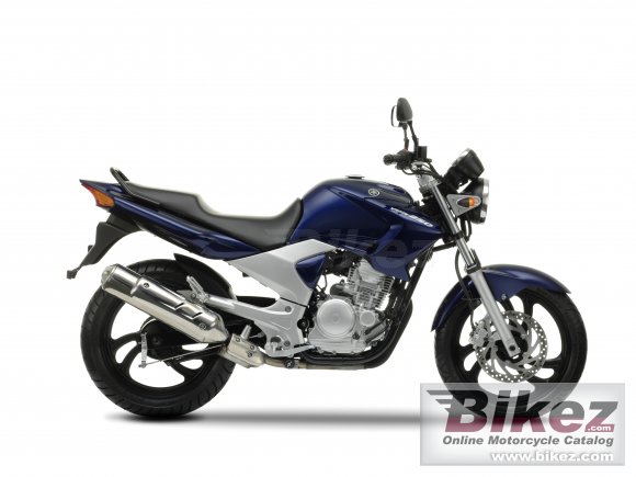 2009 Yamaha YBR250 photo